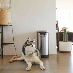 large pet food can - lifestyle dog sitting by can